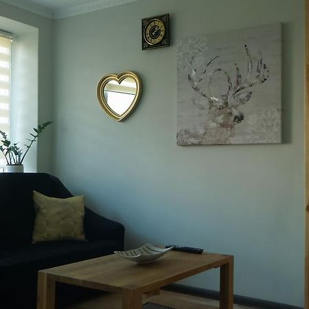 Siauliai Apartments - Ezero Kültér fotó